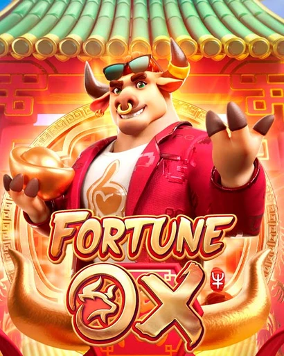 211br.com